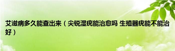 艾滋病多久能查出來（尖銳濕疣能治愈嗎 生殖器疣能不能治好）