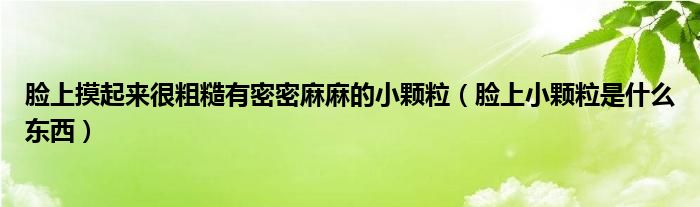 臉上摸起來(lái)很粗糙有密密麻麻的小顆粒（臉上小顆粒是什么東西）