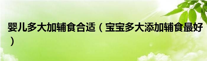 嬰兒多大加輔食合適（寶寶多大添加輔食最好）