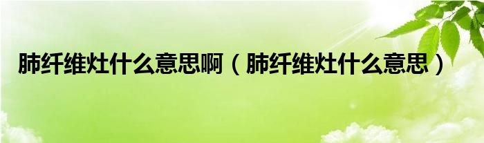 肺纖維灶什么意思?。ǚ卫w維灶什么意思）