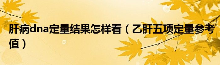 肝病dna定量結(jié)果怎樣看（乙肝五項定量參考值）