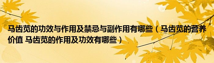 馬齒莧的功效與作用及禁忌與副作用有哪些（馬齒莧的營養(yǎng)價值 馬齒莧的作用及功效有哪些）