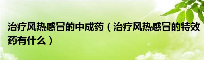 治療風(fēng)熱感冒的中成藥（治療風(fēng)熱感冒的特效藥有什么）