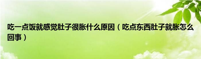 吃一點(diǎn)飯就感覺肚子很脹什么原因（吃點(diǎn)東西肚子就脹怎么回事）