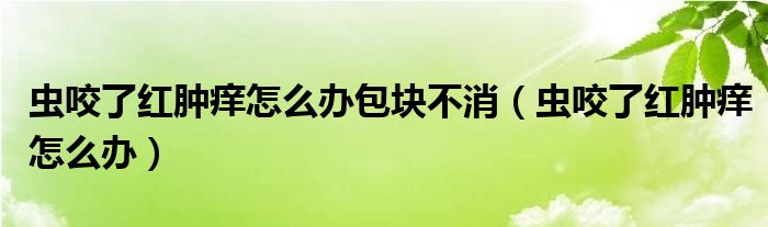 蟲咬了紅腫癢怎么辦包塊不消（蟲咬了紅腫癢怎么辦）