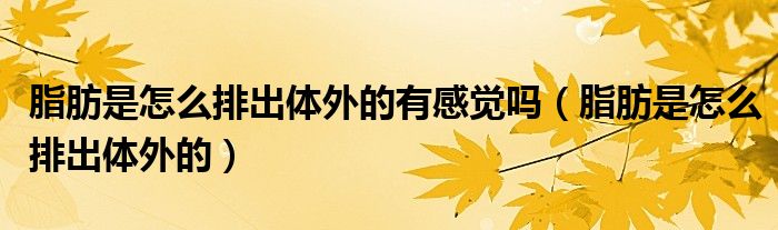 脂肪是怎么排出體外的有感覺嗎（脂肪是怎么排出體外的）