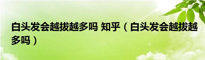 白頭發(fā)會(huì)越拔越多嗎 知乎（白頭發(fā)會(huì)越拔越多嗎）