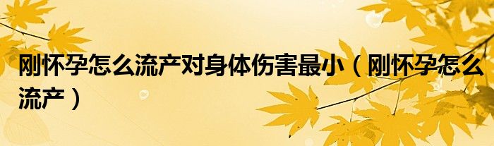 剛懷孕怎么流產(chǎn)對(duì)身體傷害最?。▌倯言性趺戳鳟a(chǎn)）