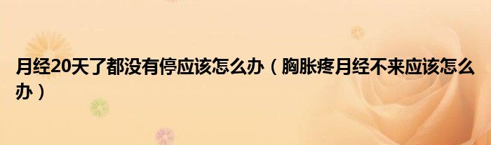 月經(jīng)20天了都沒有停應該怎么辦（胸脹疼月經(jīng)不來應該怎么辦）