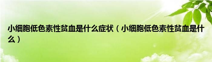 小細胞低色素性貧血是什么癥狀（小細胞低色素性貧血是什么）