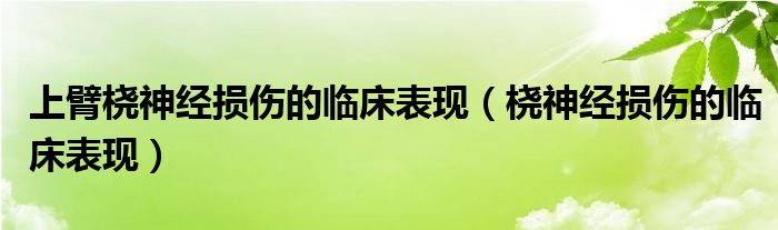 上臂橈神經(jīng)損傷的臨床表現(xiàn)（橈神經(jīng)損傷的臨床表現(xiàn)）