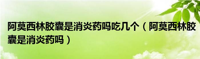 阿莫西林膠囊是消炎藥嗎吃幾個（阿莫西林膠囊是消炎藥嗎）