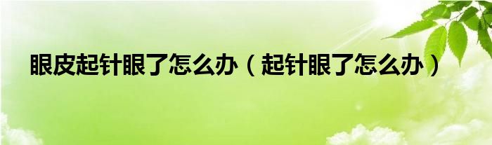 眼皮起針眼了怎么辦（起針眼了怎么辦）