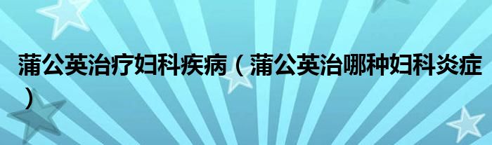 蒲公英治療婦科疾?。ㄆ压⒅文姆N婦科炎癥）