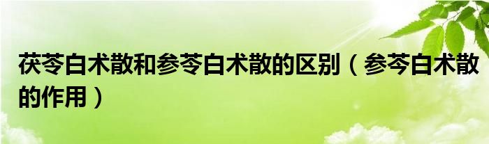 茯苓白術散和參苓白術散的區(qū)別（參芩白術散的作用）