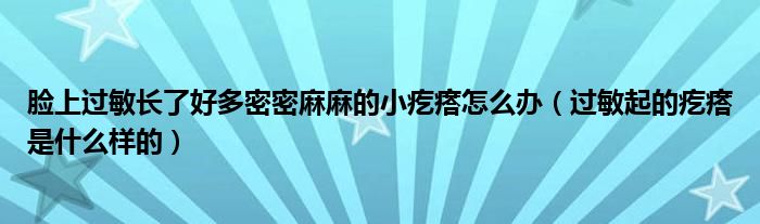 臉上過敏長(zhǎng)了好多密密麻麻的小疙瘩怎么辦（過敏起的疙瘩是什么樣的）