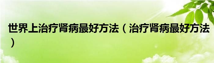 世界上治療腎病最好方法（治療腎病最好方法）