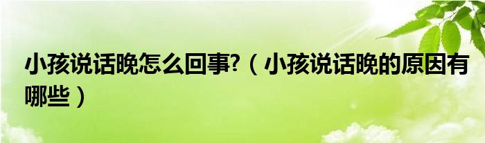 小孩說話晚怎么回事?（小孩說話晚的原因有哪些）