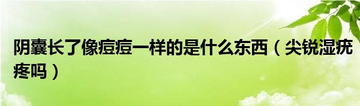 陰囊長了像痘痘一樣的是什么東西（尖銳濕疣疼嗎）