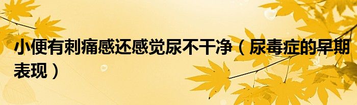 小便有刺痛感還感覺(jué)尿不干凈（尿毒癥的早期表現(xiàn)）