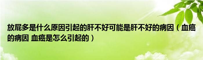 放屁多是什么原因引起的肝不好可能是肝不好的病因（血癌的病因 血癌是怎么引起的）