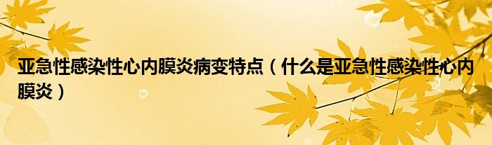 亞急性感染性心內膜炎病變特點（什么是亞急性感染性心內膜炎）