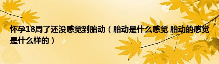 懷孕18周了還沒感覺到胎動（胎動是什么感覺 胎動的感覺是什么樣的）