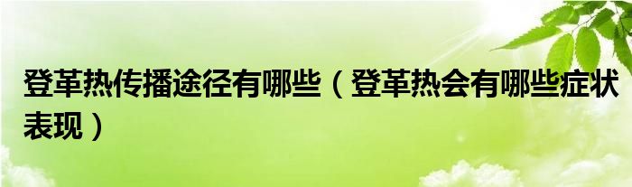 登革熱傳播途徑有哪些（登革熱會有哪些癥狀表現(xiàn)）