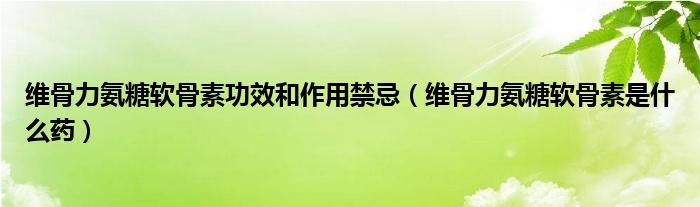 維骨力氨糖軟骨素功效和作用禁忌（維骨力氨糖軟骨素是什么藥）