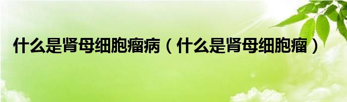 什么是腎母細(xì)胞瘤?。ㄊ裁词悄I母細(xì)胞瘤）