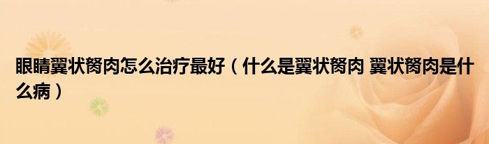 眼睛翼狀胬肉怎么治療最好（什么是翼狀胬肉 翼狀胬肉是什么?。?class='thumb lazy' /></a>
		    <header>
		<h2><a  href=