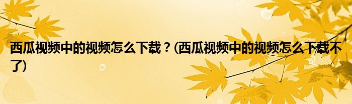 西瓜視頻中的視頻怎么下載？(西瓜視頻中的視頻怎么下載不了)
