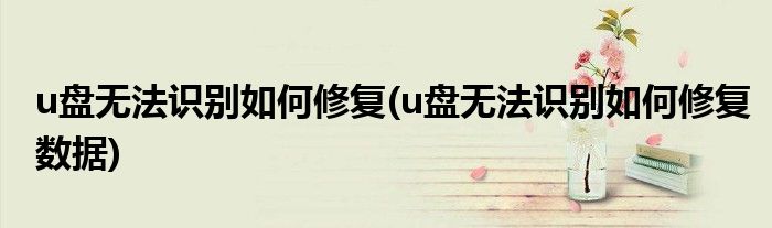 u盤無(wú)法識(shí)別如何修復(fù)(u盤無(wú)法識(shí)別如何修復(fù)數(shù)據(jù))
