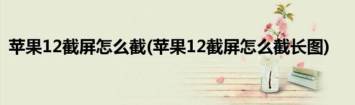 蘋果12截屏怎么截(蘋果12截屏怎么截長(zhǎng)圖)