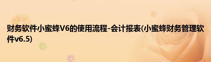 財(cái)務(wù)軟件小蜜蜂V6的使用流程-會(huì)計(jì)報(bào)表(小蜜蜂財(cái)務(wù)管理軟件v6.5)