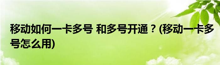 移動(dòng)如何一卡多號 和多號開通？(移動(dòng)一卡多號怎么用)
