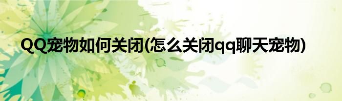 QQ寵物如何關(guān)閉(怎么關(guān)閉qq聊天寵物)