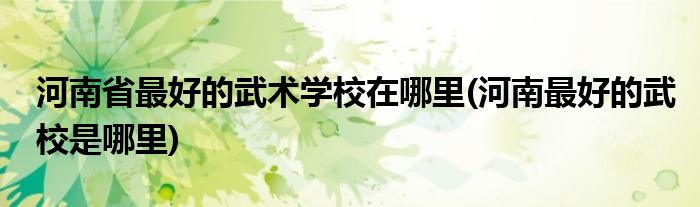 河南省最好的武術(shù)學(xué)校在哪里(河南最好的武校是哪里)
