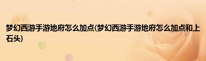 夢(mèng)幻西游手游地府怎么加點(diǎn)(夢(mèng)幻西游手游地府怎么加點(diǎn)和上石頭)