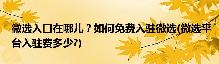 微選入口在哪兒？如何免費入駐微選(微選平臺入駐費多少?)