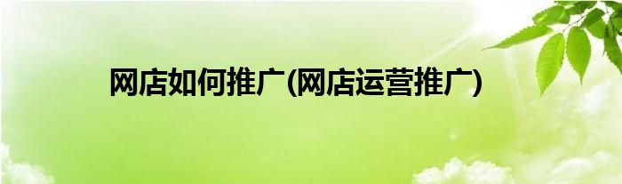 網(wǎng)店如何推廣(網(wǎng)店運(yùn)營(yíng)推廣)