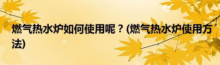 燃?xì)鉄崴疇t如何使用呢？(燃?xì)鉄崴疇t使用方法)