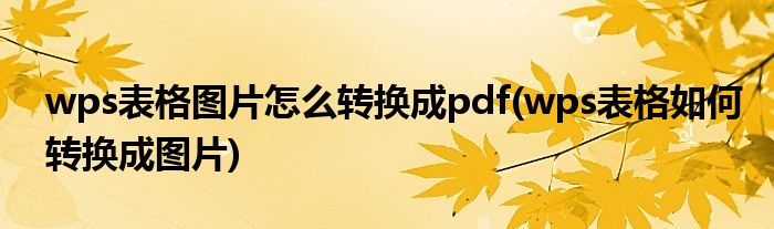 wps表格圖片怎么轉(zhuǎn)換成pdf(wps表格如何轉(zhuǎn)換成圖片)