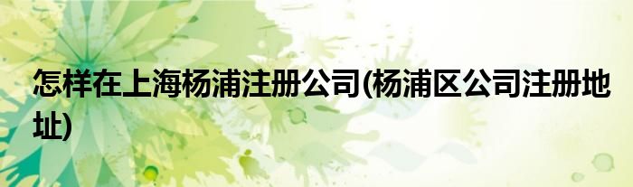怎樣在上海楊浦注冊(cè)公司(楊浦區(qū)公司注冊(cè)地址)