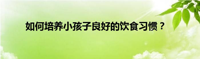 如何培養(yǎng)小孩子良好的飲食習(xí)慣？