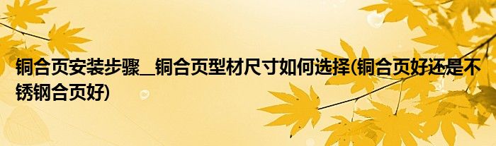 銅合頁安裝步驟__銅合頁型材尺寸如何選擇(銅合頁好還是不銹鋼合頁好)