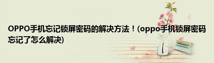 OPPO手機忘記鎖屏密碼的解決方法！(oppo手機鎖屏密碼忘記了怎么解決)