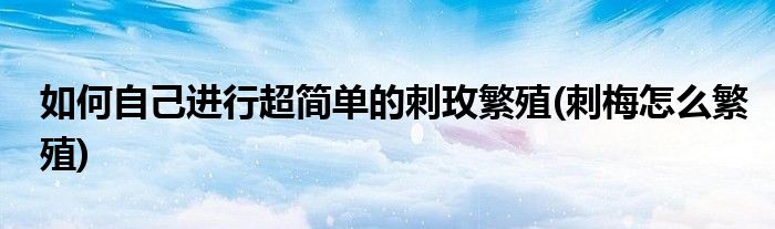 如何自己進行超簡單的刺玫繁殖(刺梅怎么繁殖)
