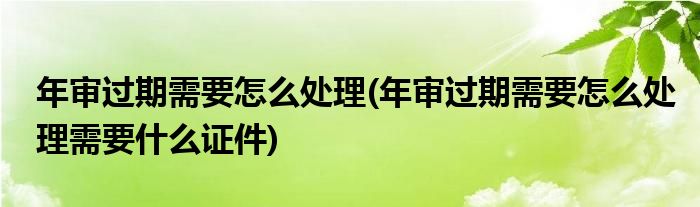 年審過(guò)期需要怎么處理(年審過(guò)期需要怎么處理需要什么證件)