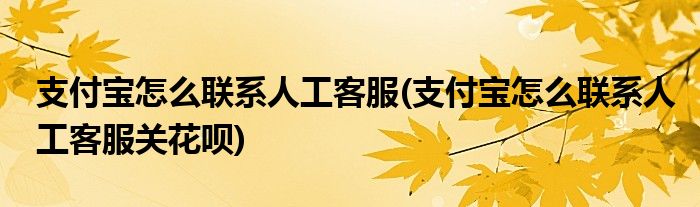 支付寶怎么聯(lián)系人工客服(支付寶怎么聯(lián)系人工客服關(guān)花唄)
